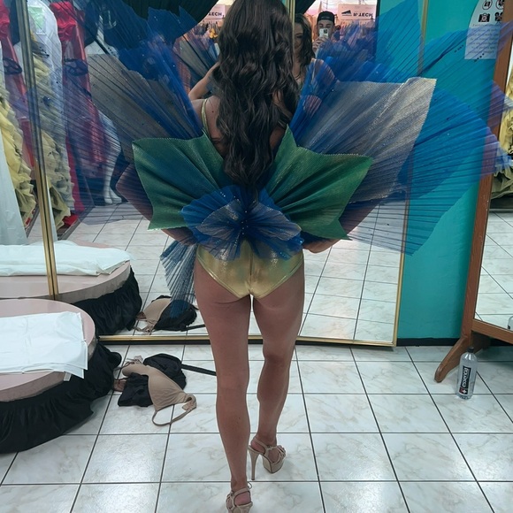 Butterfly/mocking jay costume - Picture 2 of 4